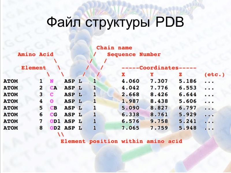 Файл структуры PDB